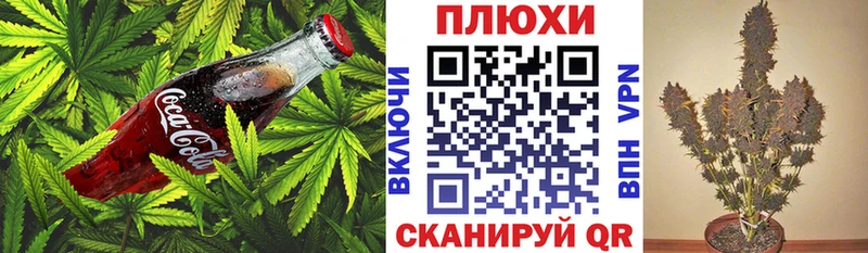 Купить где  Котельники  Cannafood марихуана 