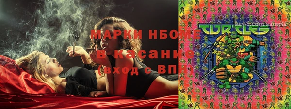 сатива Надым
