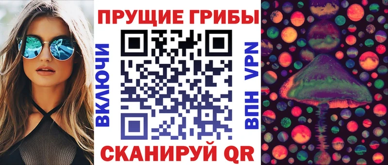 Псилоцибиновые грибы Psilocybe Купить Котельники